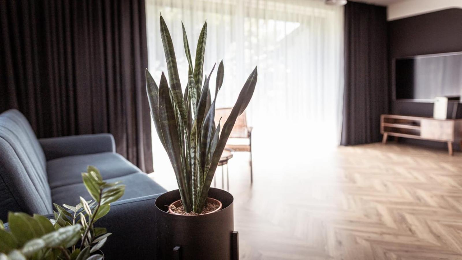 Apartment Abcd *